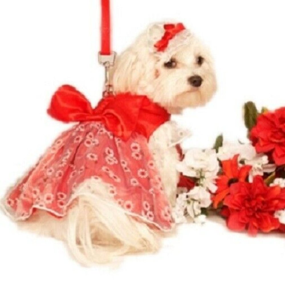 3 Piece Dog DRESS, BOW & LEASH 22-27" Chest Doggie Design Red Daisy Chris…